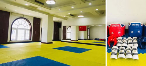 上海诺科学校精品社团之跆拳道社