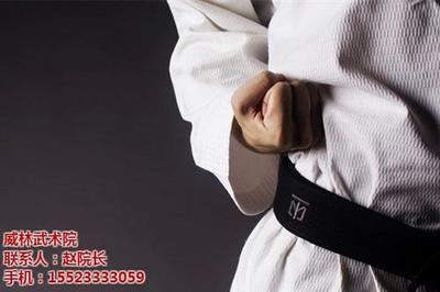 【重庆威林武术馆(在线咨询)|江西跆拳道|少儿跆拳道培训】价格,厂家,图片-中国网库