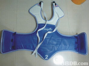 跆拳道用品开仓批发低至五折