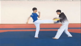 跆拳道实战 –