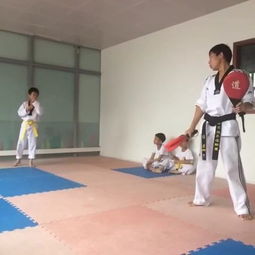跆拳道训练 从基础到进阶的全面指南