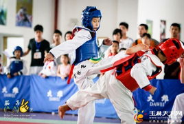 跆拳道比赛 力与美的竞技艺术