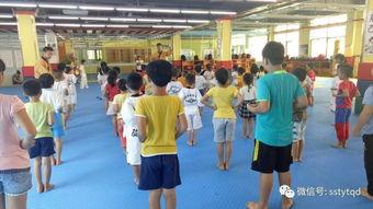 琼海馆跆拳道用品的踢靶 提升训练效果的关键装备