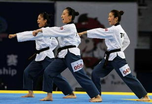 龙汇功夫培训基地第一届全国跆拳道教练员培训 以专业精神推动跆拳道教育发展